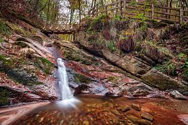 Ninglinspo by Rob Boon