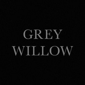 Grey Willow profielfoto