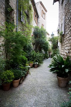 Saint Tropez idyllische Straßen und Plätze von Christine Vesters Fotografie