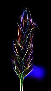 NEONGRÜN