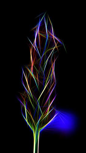 NEONGRÜN von HenryFarblosFoto