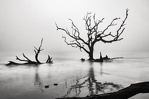 Plage mystique dans le brouillard sur Jacqueline Anders