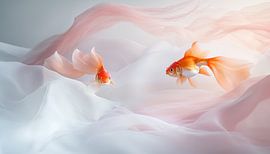 Dreamy goldfish panorama