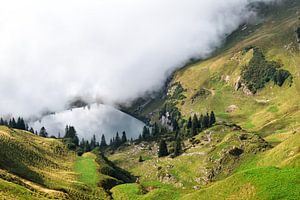 Der Nebel kommt von Olha Rohulya