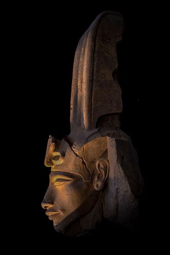 Het profiel van de vrouwelijke farao Hatshepsut van Erwin Floor