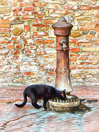 Chat noir assoiffé