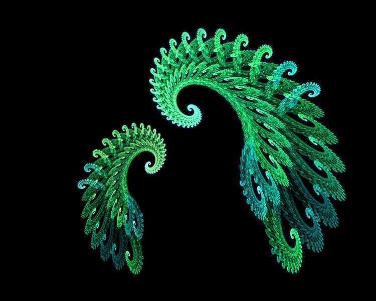 Phantasie by Martina Fornal