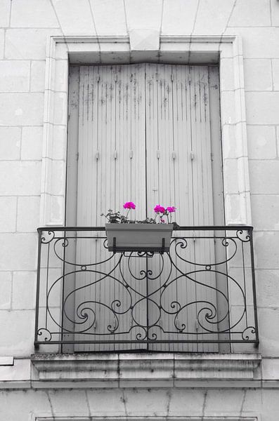 Fleur Francais by De Rover