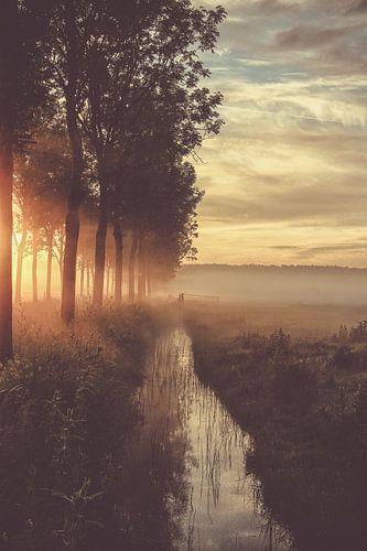 Een vroege mei morgen