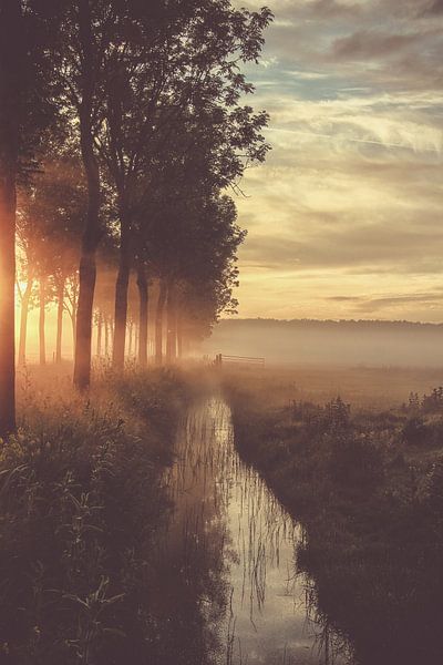 Een vroege mei morgen van Hilda van der Lee
