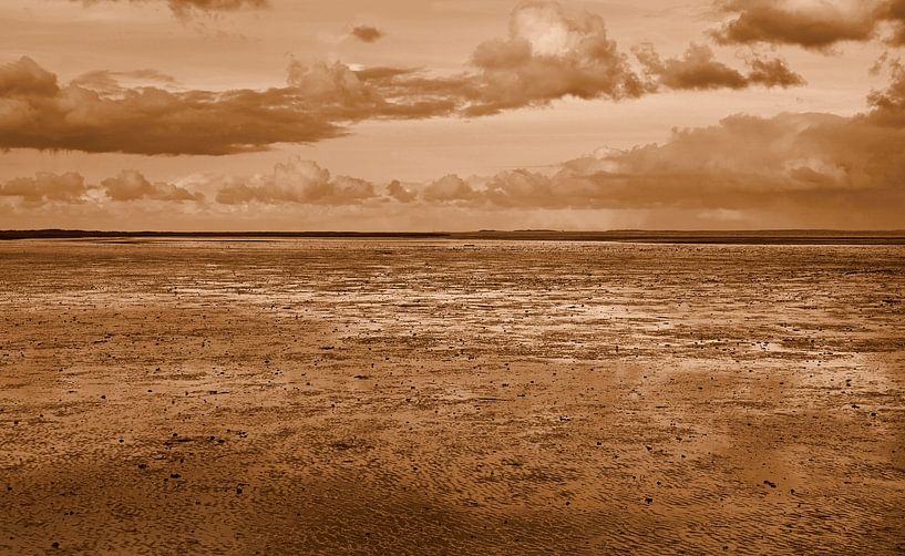 Slufter Texel in Sepia. von Jose Lok