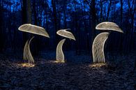 Lightpainting-Pilze von Liesbeth van Asselt Miniaturansicht