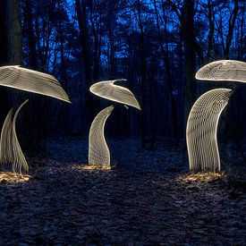 Peinture lumineuse sur les champignons sur Liesbeth van Asselt