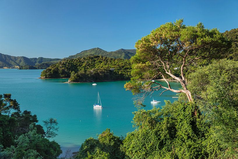Kenepuru Sound, New Zealand by Markus Lange