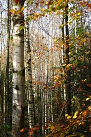 Haute Lusace sur Thomas Jäger