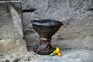 Licht in der Dunkelheit