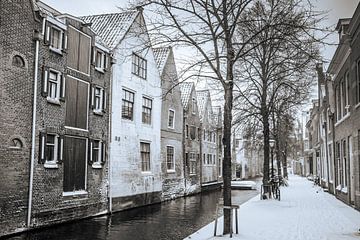 Kooltuin im Schnee in Alkmaar, Niederlande von Sjoerd Veltman