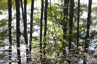 Reflectie van de bomen in het water in de herfst van Jessica van den Heuvel thumbnail