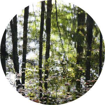 Reflectie van de bomen in het water in de herfst van Jessica van den Heuvel