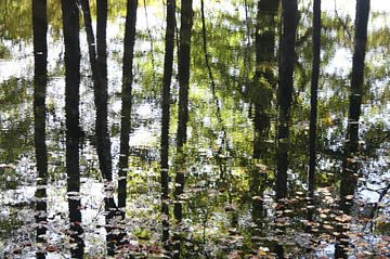 Reflectie van de bomen in het water in de herfst van Jessica van den Heuvel