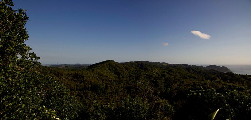 Panorama der Umgebung von Tairua, Neuseeland von Bart van Wijk Grobben