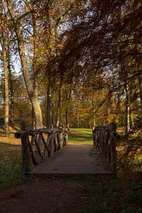 Landschaft mit einer Holzbrücke im Herbst im Wald