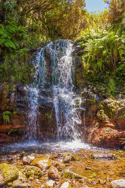 Wasserfall auf Madeira von Arie Jan van Termeij