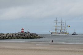 Sailboat arrives at the harbour