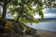 Loch Venachar, Schotland van Pascal Raymond Dorland thumbnail