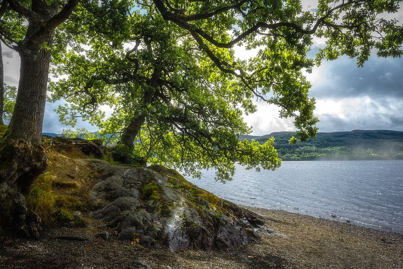 Loch Venachar, Schotland van Pascal Raymond Dorland