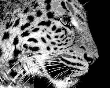 Panther in schwarz und weiß