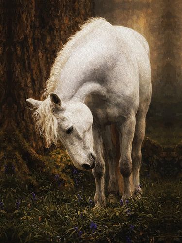 Sereen Wit Paard Graast Bluebells Bos Olie Portret