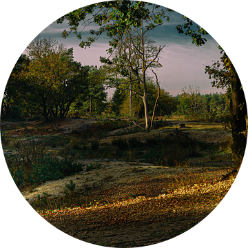 Arcadisch landschap Natuurgebied Maashorst Uden van HvNunenfoto