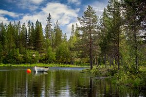 Lake with rowing boat by Arjen Roos