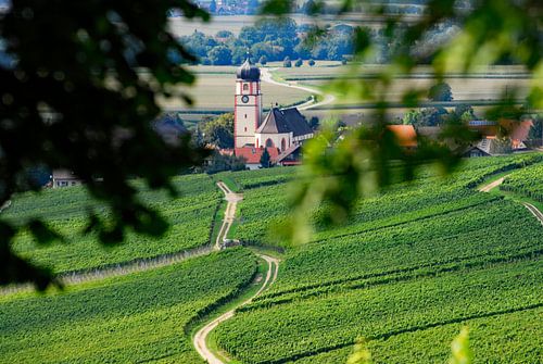 Pfaffenweiler winegrowing village in the Markgräflerland region