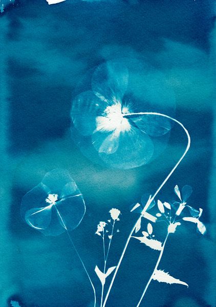 Blue Poppies by Lies Praet