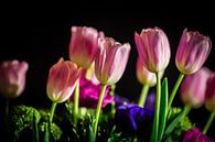 Tulips Bouquet van Delano Gonsalves thumbnail