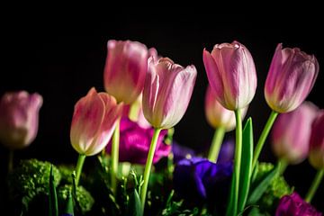 Tulips Bouquet van Delano Gonsalves