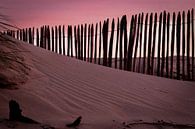 Dune par Bas Rutgers Aperçu