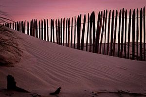 Dune sur Bas Rutgers