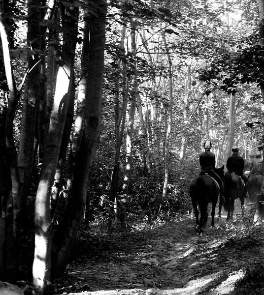 Zeeland van Sidney Graf