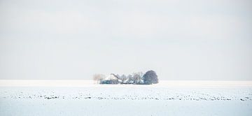 Solitary van Pim Feijen