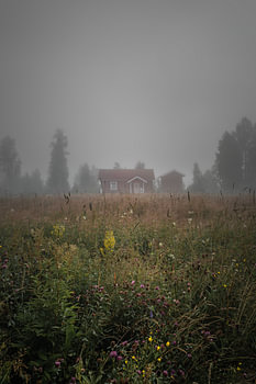 Morning mist in the Swedish wilderness – Vertical photo print of a red log cabin in Värmland