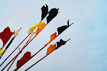 Signals from the wind over the sea