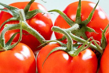 Sappige glanzende heldere gezonde tomaten