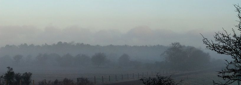 Goede morgen von Rene van Dam