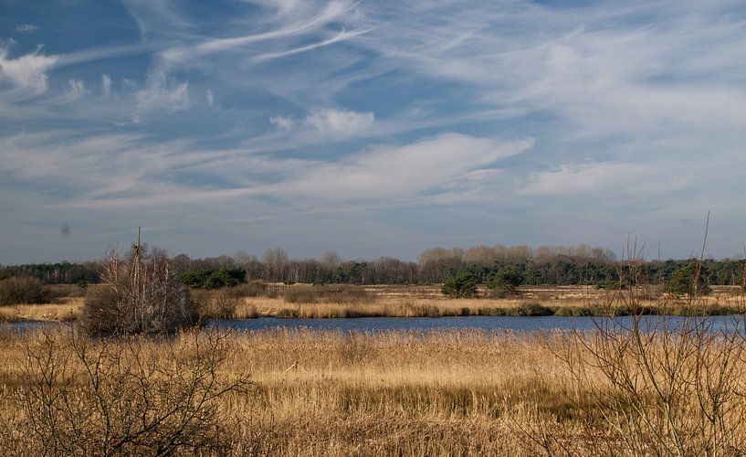 La beauté de la nature par Kim Jansen