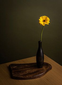 Gelbe Blume II - Fotokunstdruck von Misty Melodies