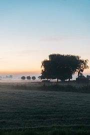 Morning sun in the Netherlands