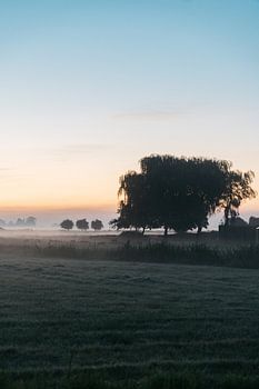 Soleil matinal aux Pays-Bas